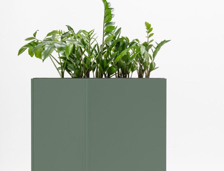 STANDARD BAC - photo 3