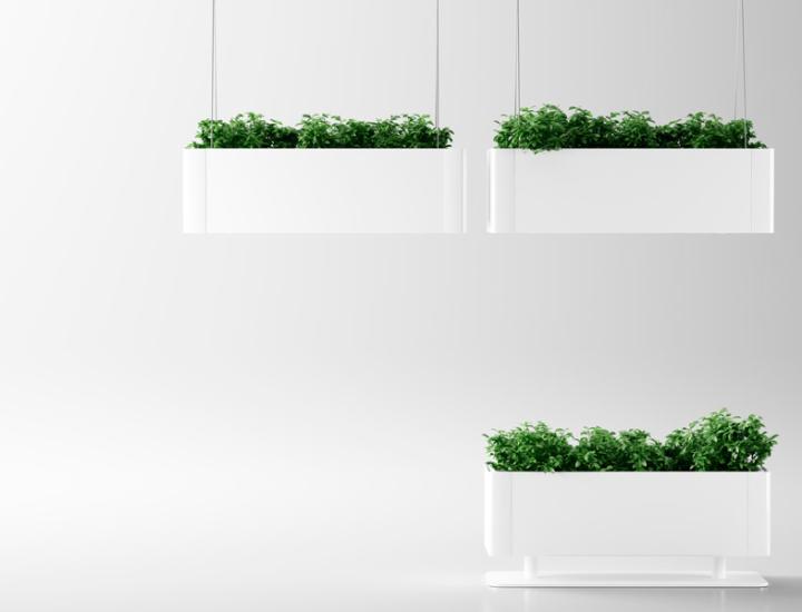 GREEN LIGHT - photo 1