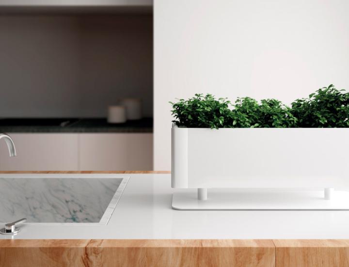 GREEN LIGHT - photo 3