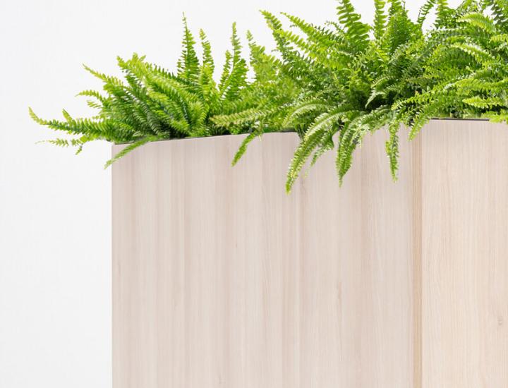 STANDARD BAC - photo 2