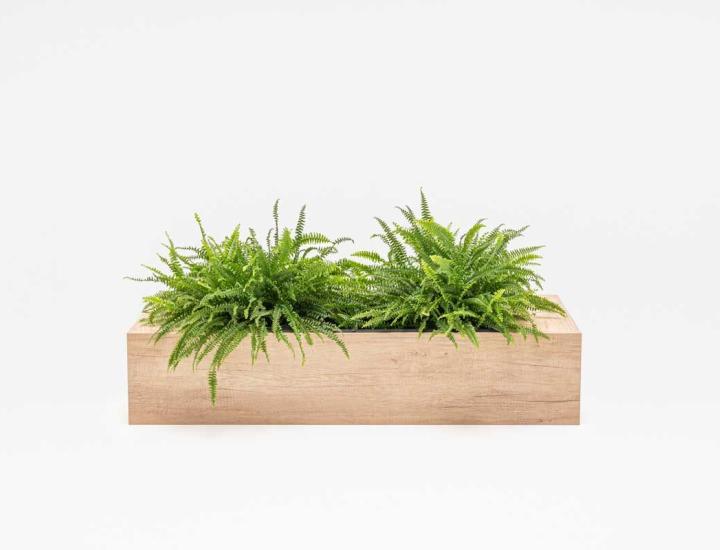 PLANT POTS - photo 1