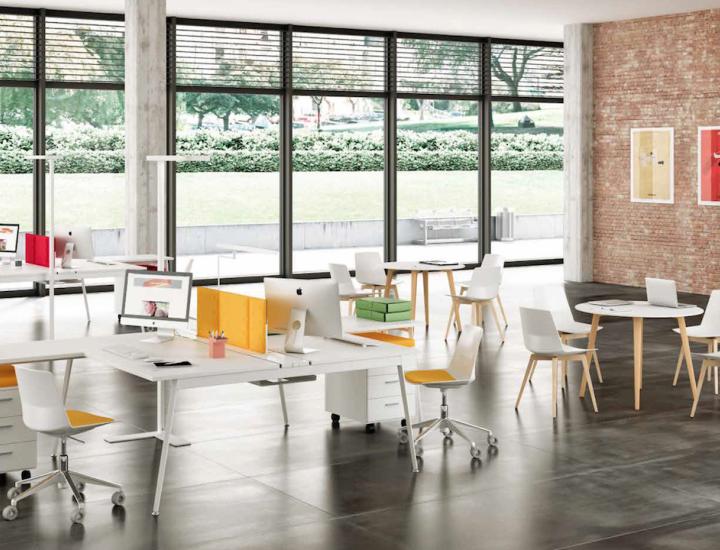 CLUE - photo 1