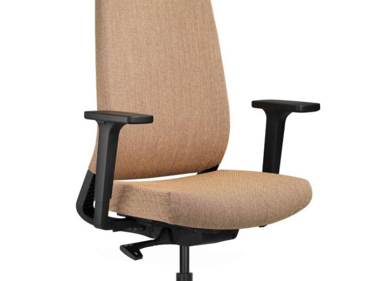 Siège de bureau ergonomique DAUPHIN Sequel – fauteuil pivotant professionnel, vue produit