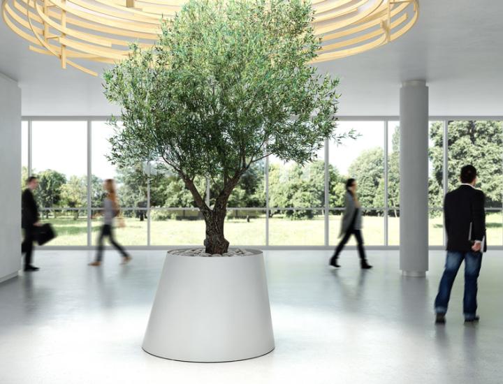 Gamme Conee Systemtronic – Jardinières indoor/outdoor pour espaces de travail végétalisés