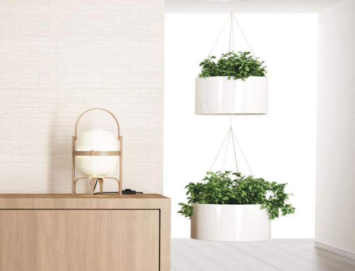 Green Light Systemtronic – Jardinière luminaire rectangulaire en aluminium pour bureaux, salles de réunion et espaces d'accueil