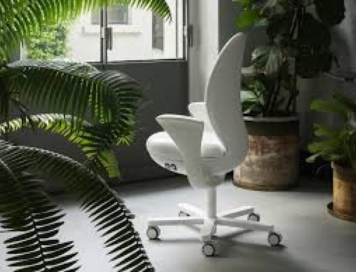 Bea Luxy – Siège ergonomique design signé Fuksas pour bureaux professionnels